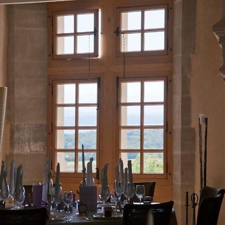 Chateau Le Rosey Hotel Nyon Exterior photo